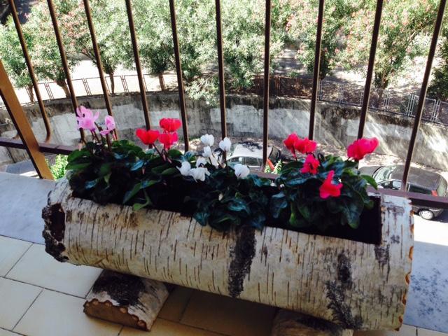 Chiavi Antiche B&B サレルノ 部屋 写真