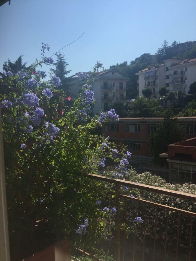 Chiavi Antiche B&B サレルノ エクステリア 写真