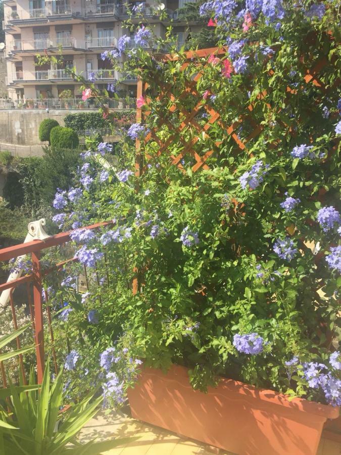 Chiavi Antiche B&B サレルノ エクステリア 写真